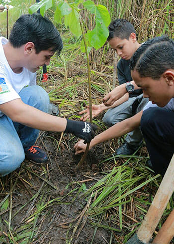 Youth volunteers participate in 2016 National Reforestation Day events.