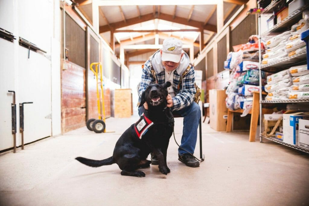 Since its inception in 2013, Soldier On Service Dogs has trained and placed eight dogs. 