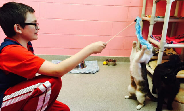 Lucas Smith volunteers at the Lakeshore Humane Society in Manitowoc, Wisc.