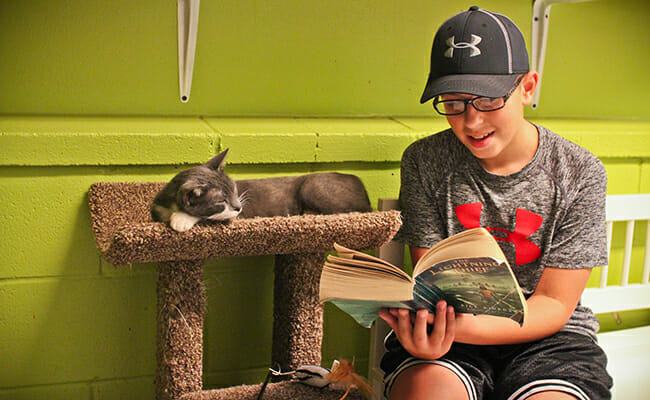 Jake volunteered at an animal shelter, helping to socialize the furry residents by reading to them.