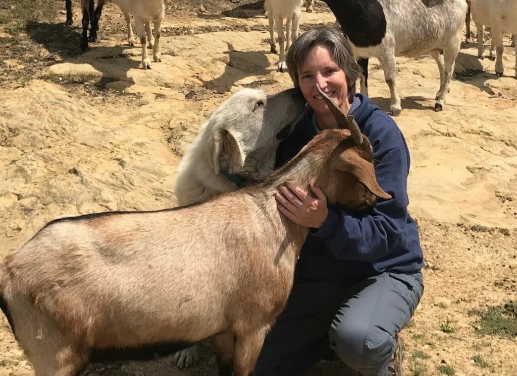 Dianne, who has spent the past 19 years working as a Reiki Master, performs the healing technique on animals as well as people./ Courtesy Dianne Goswick