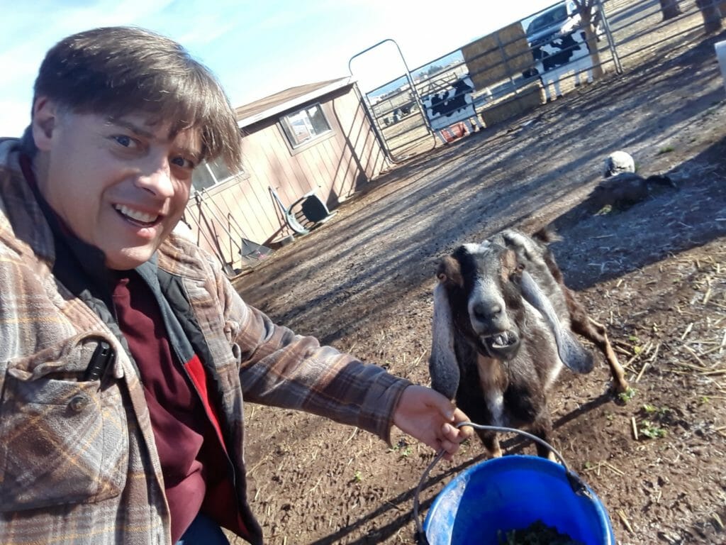Caption: Ryan Stringham feeding goats kale from Prescott Natural Grocers at Circle L Ranch./ Courtesy Ryan Stringham