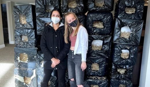 Two teenagers standing in front of a pile of handmade cat shelters.
